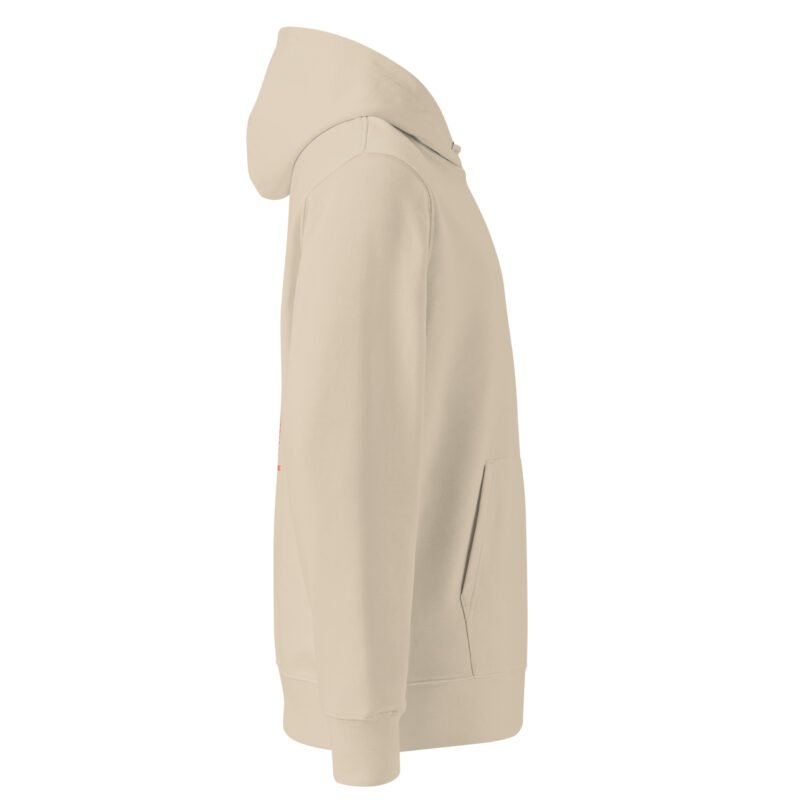 Templar Knight Hoodie.