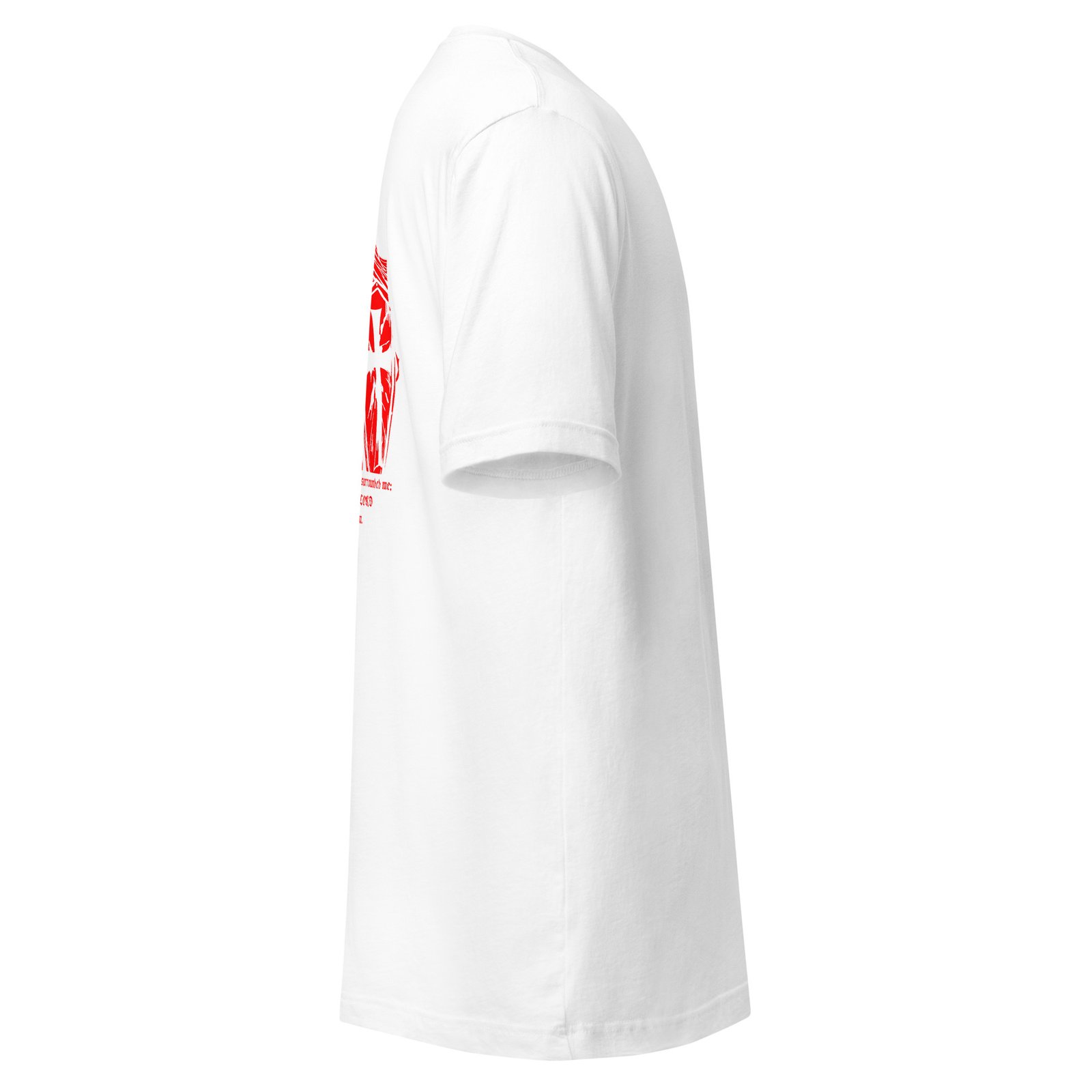 Templar Knight. - Image 12